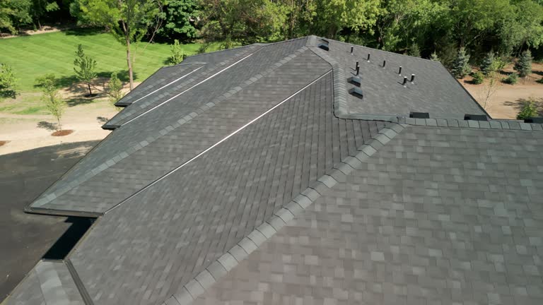 Best Skylight Installation and Repair  in Carleton, MI