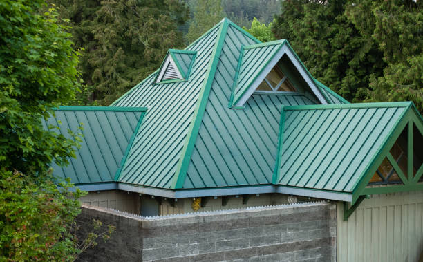 Best Storm Damage Roof Repair  in Carleton, MI